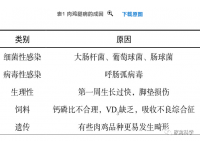 影响肉鸡腿部质量的因素（上）