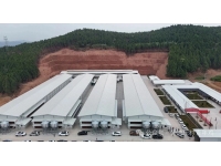 转群做对这7步，青年鸡到舍3天就能适应