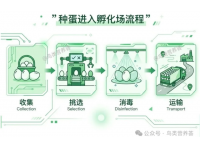 《家禽科学》孵化（三）｜一枚种蛋，入孵前要经历哪些环节？