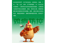 夏秋蚊虫多，莫要忽略鸡痘的防控