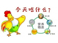 家禽营养代谢病简介