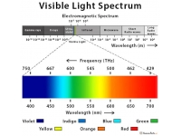 蛋鸡生产中LED灯泡及其他光源的应用指南