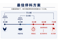 6小时：为什么停料时间会影响料肉比、屠宰产率、食品安全和利润