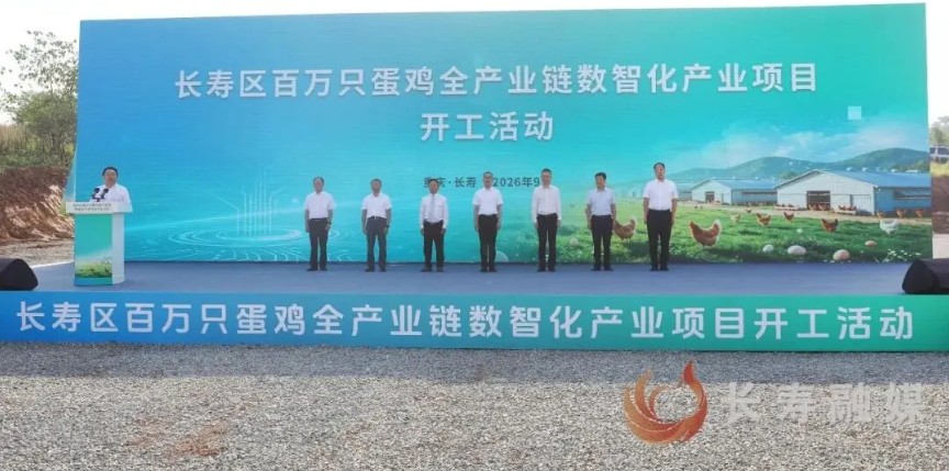 百万只蛋鸡全产业链数智化产业项目开工