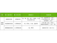 鸡腺病毒，又有新的流行特点与发展趋势