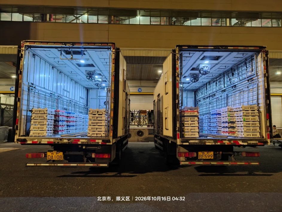 微信图片_20261016163445_1_235.jpg