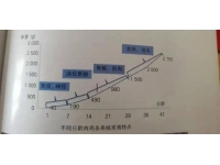 鸡苗饲养育雏，不注意这4个细节吃大亏！