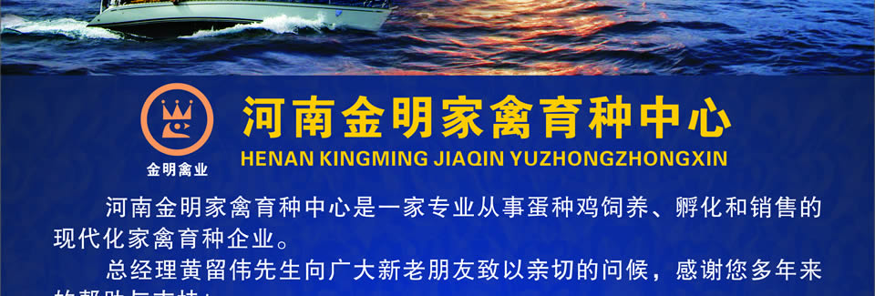 ������ҵ--�Ͳ�����B380��β����