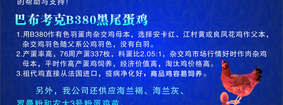 ������ҵ--�Ͳ�����B380��β����